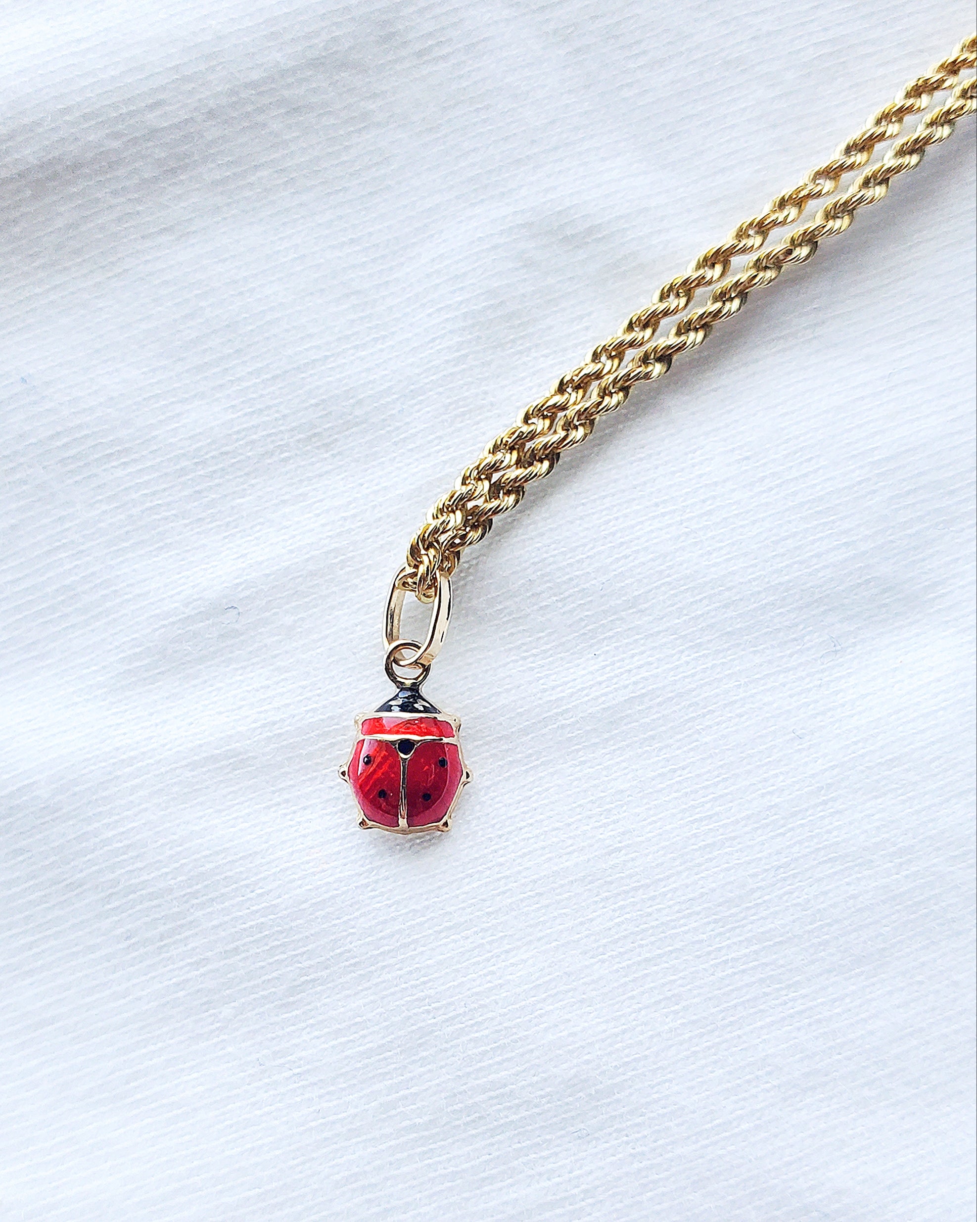 Litsa Ladybug Charm
