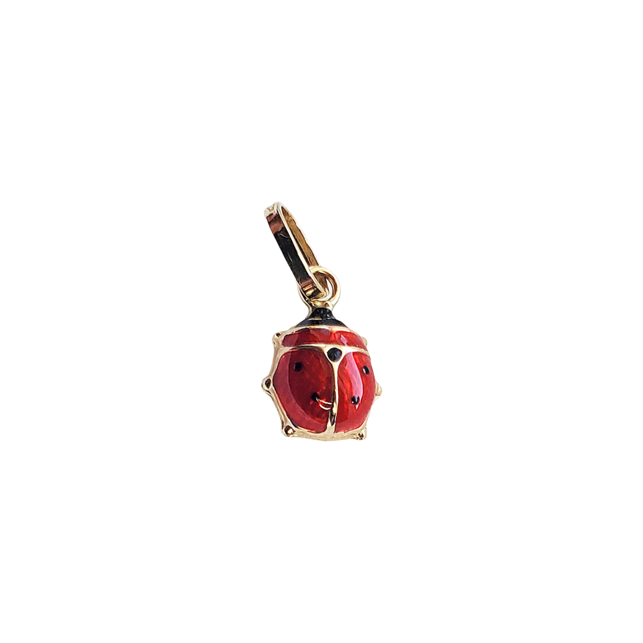 Litsa Ladybug Charm